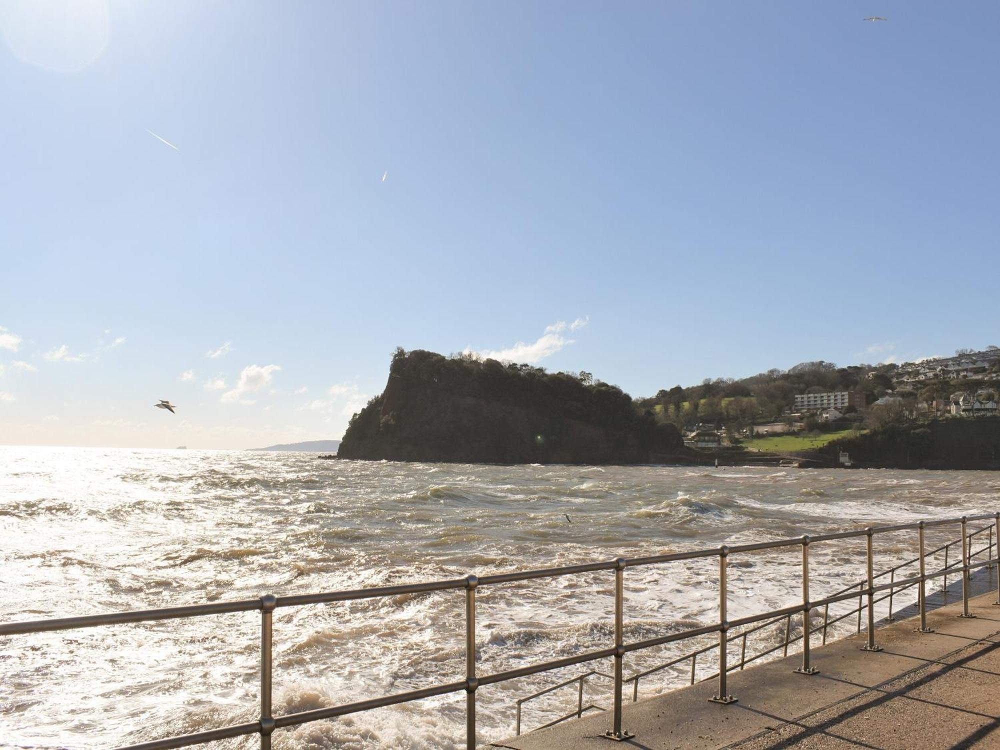 Primrose Cottage Teignmouth Bagian luar foto